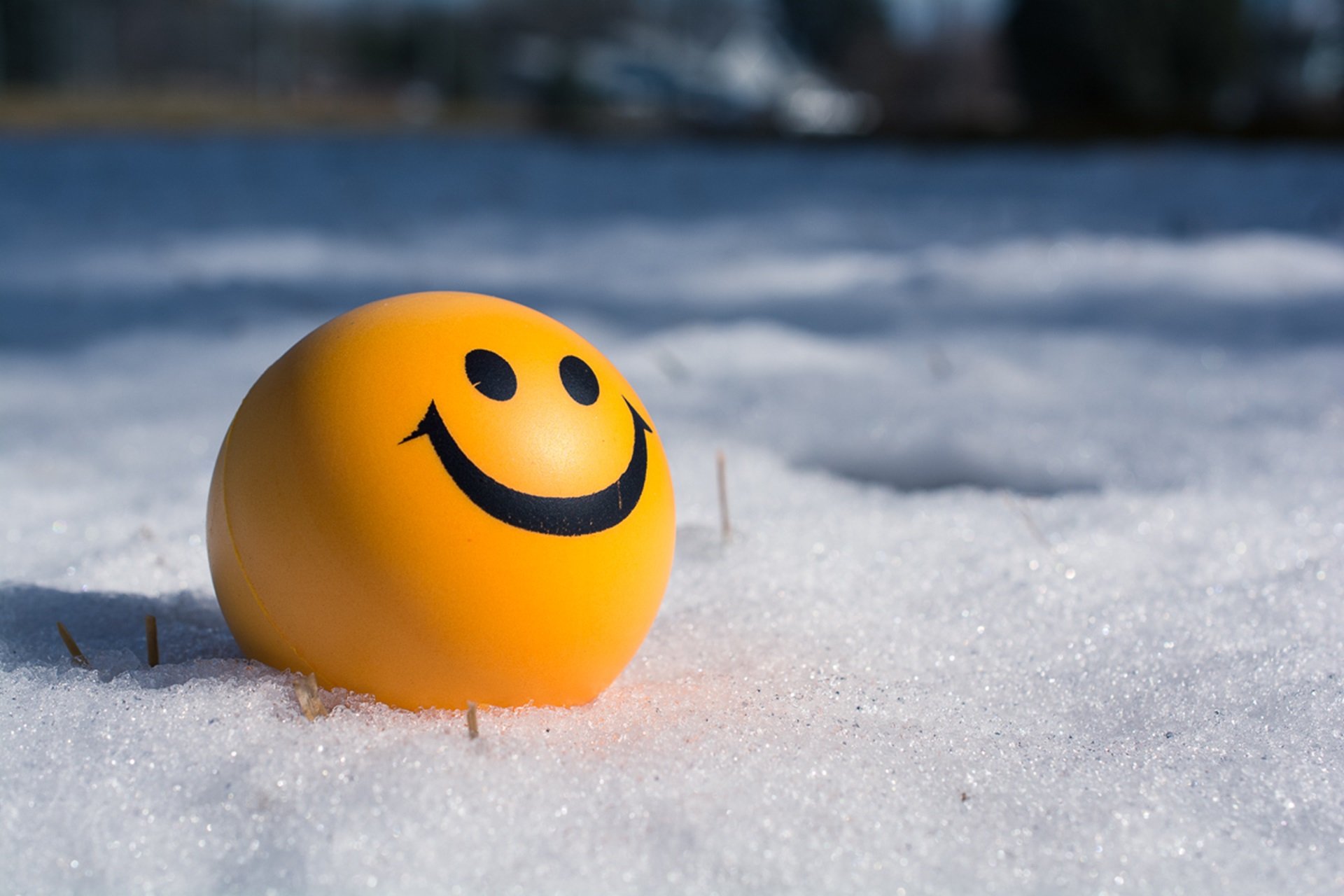 pallina gialla nella neve che sorride, per mostrare un widget di wordpress modificato in php felice