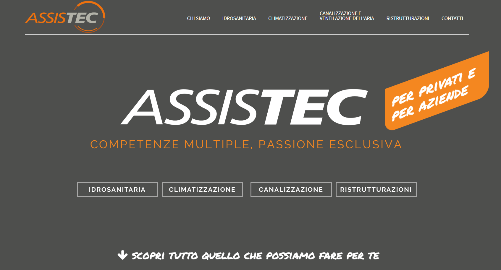 assistec testata